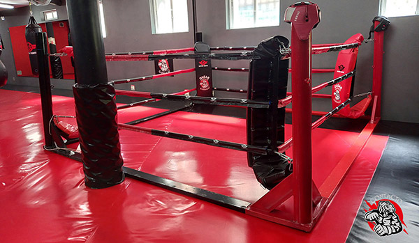 Gimnasio Dasan Contacto Ring de cortas dintancias